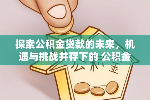 青海探索公积金贷款的未来，机遇与挑战并存下的 公积金贷款风险防控