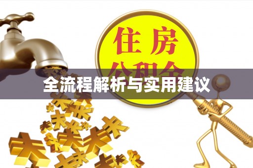 青海全流程解析与实用建议