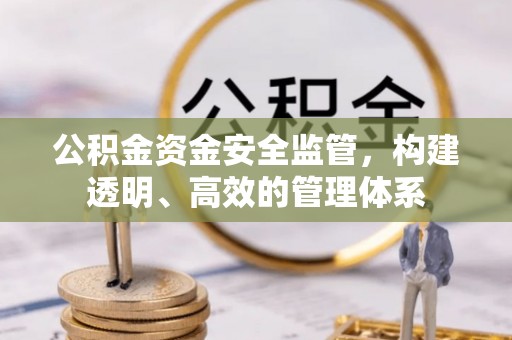 青海公积金资金安全监管，构建透明、高效的管理体系