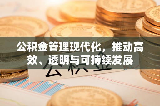 青海公积金管理现代化，推动高效、透明与可持续发展