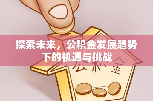 青海探索未来，公积金发展趋势下的机遇与挑战