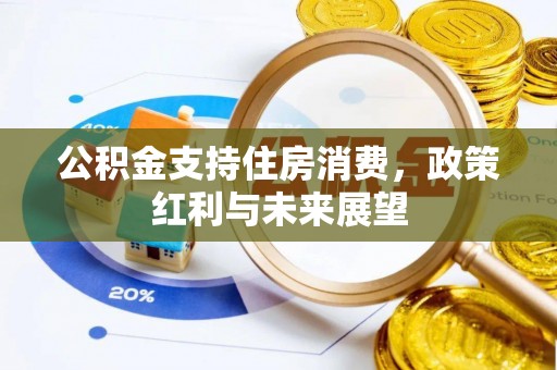 青海公积金支持住房消费，政策红利与未来展望