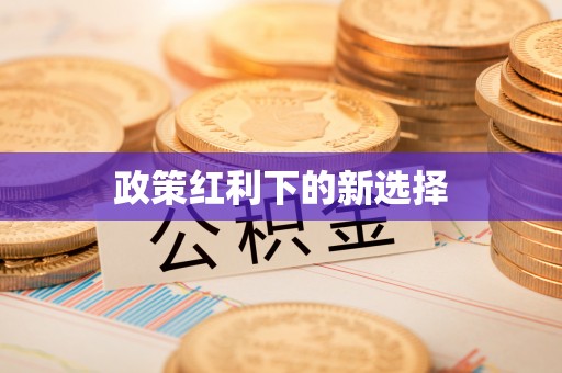 青海政策红利下的新选择