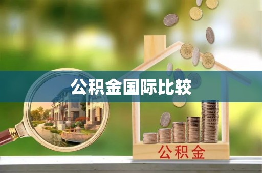 青海公积金国际比较