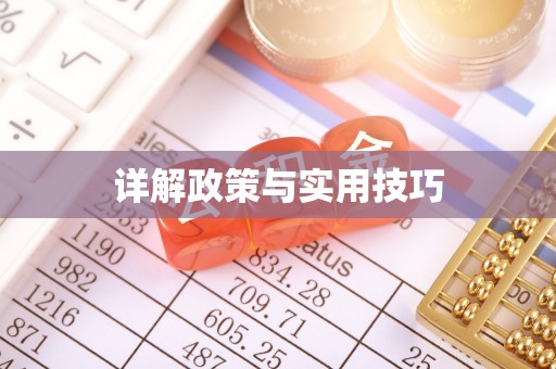 青海详解政策与实用技巧