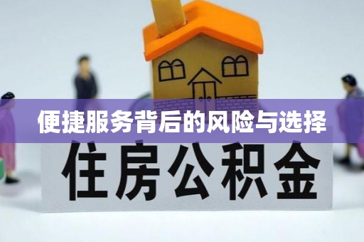 青海便捷服务背后的风险与选择