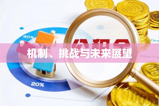 青海机制、挑战与未来展望