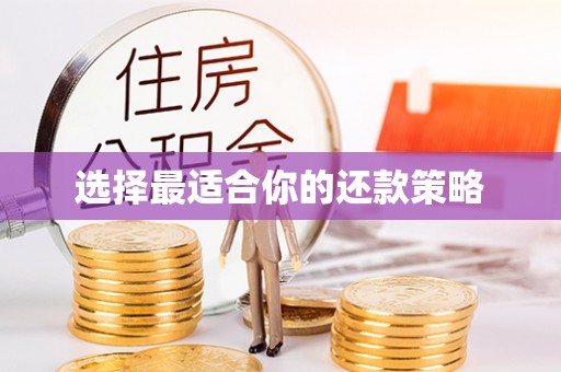 青海选择最适合你的还款策略