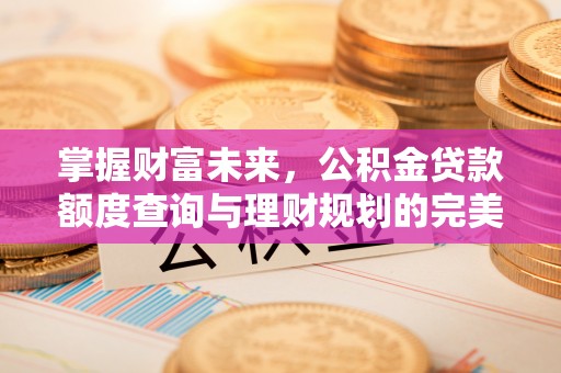 青海掌握财富未来，公积金贷款额度查询与理财规划的完美结合