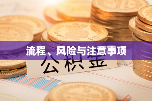 青海流程、风险与注意事项