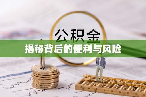 青海揭秘背后的便利与风险